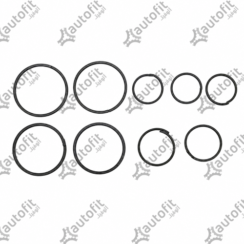 رینگ کربنی گیربکس اتوماتیک دنا پلاس توربو، تارا و 207 (۶ سرعته DAE / A6F5)